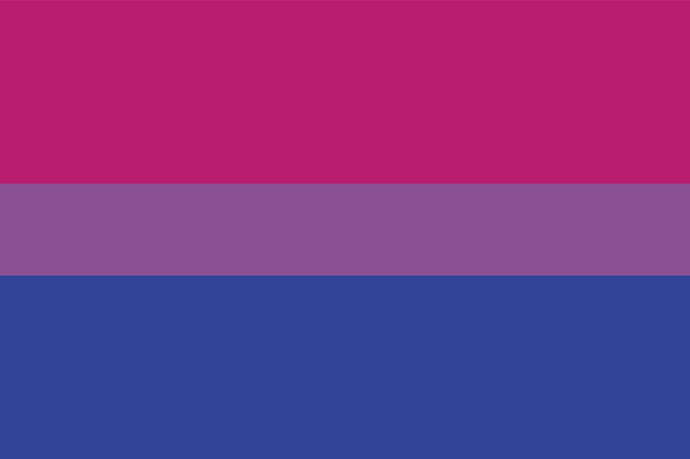 bisexual pride flag vector illustration a graphic element