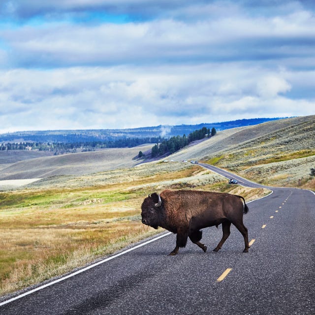 Trump reportedly eyes m in funding cuts for US national parks Trump reportedly eyes m in funding cuts for US national parks