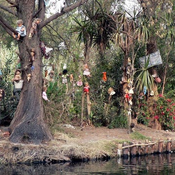 De Mexicaanse nachtmerrie de mexicaanse nachtmerrie