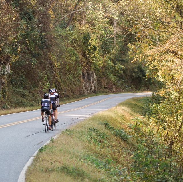 outfitter bicycle's asheville craft beer bike tour