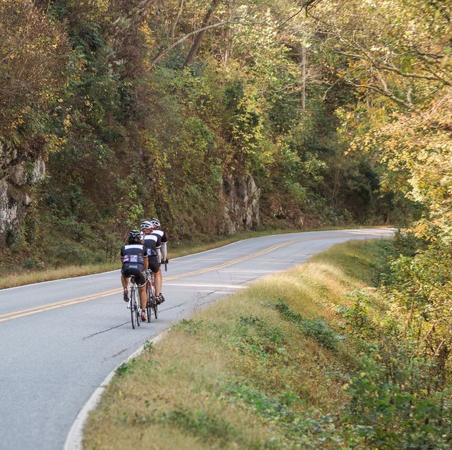 outfitter bicycle's asheville craft beer bike tour