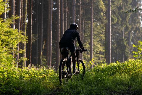 Cycle sport, Cycling, Bicycle, Downhill mountain biking, Tree, Mountain biking, Mountain bike, Vehicle, Natural environment, Freeride, 