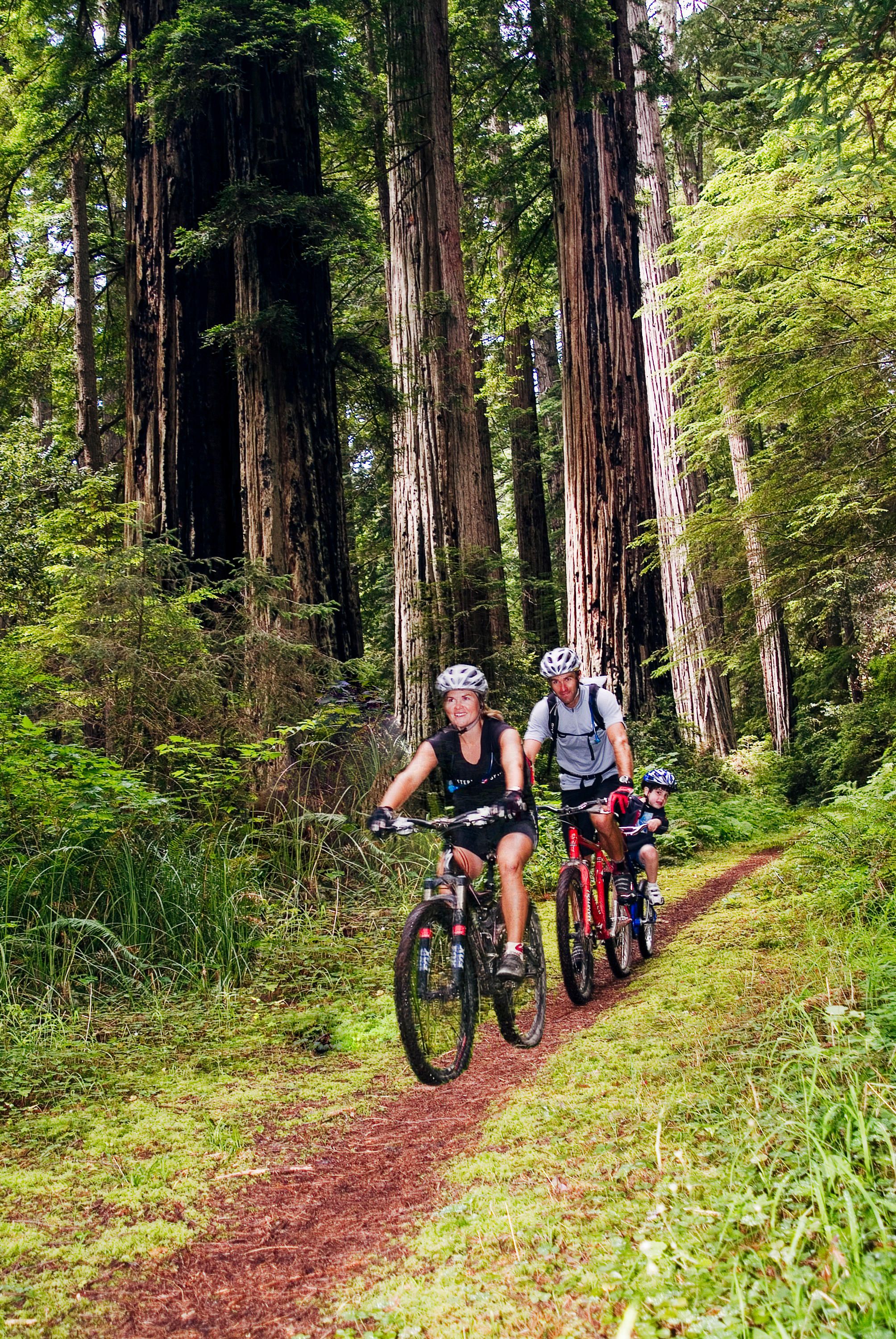 Best biking trips online