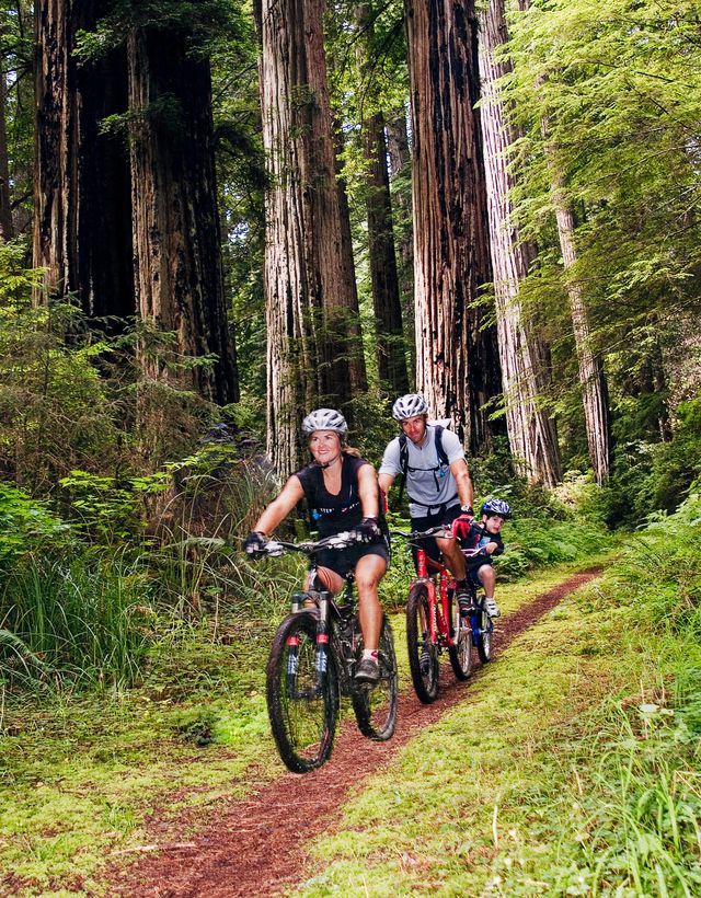 Cycle sport, Cycling, Vehicle, Bicycle, Mountain biking, Outdoor recreation, Mountain bike racing, Mountain bike, Cross-country cycling, Tree, 