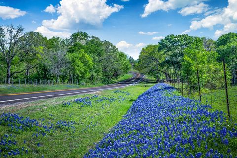 t0re5c texas country roads with bluebonnets