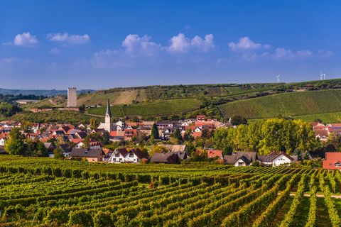 etpn4e germany, rhineland palatinate, rheinhessen region rhine hesse, nierstein, district schwabsburg, vineyards, village with