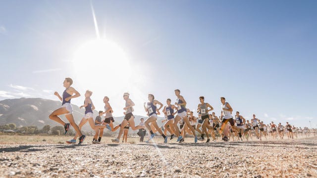 Fun, Team, Running, Human, Landscape, Recreation, Photography, 