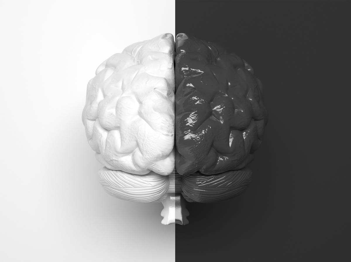 black and white human brain divided in half into two parts in the middle one half is white, the other half is black creative conceptual illustration 3d rendering