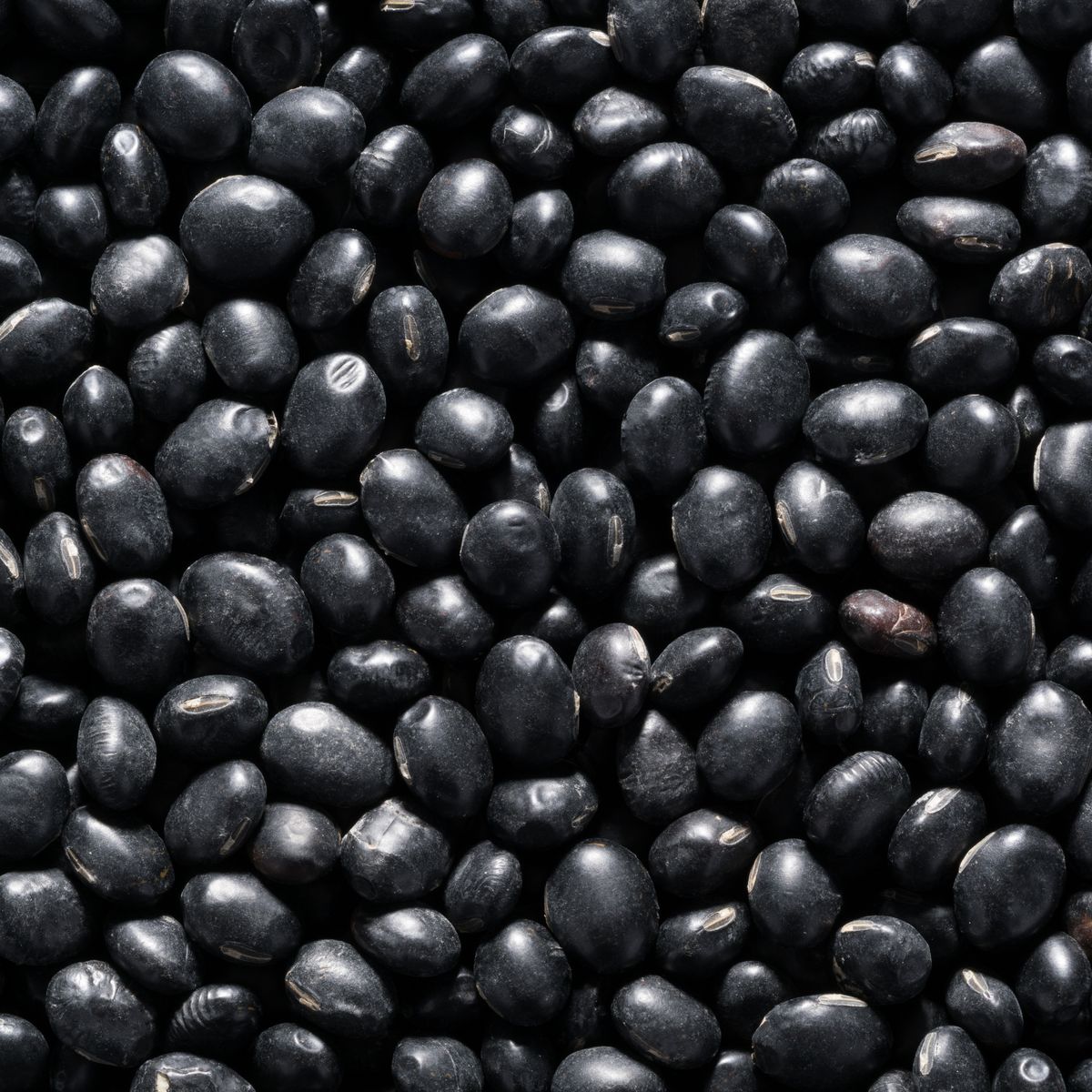 Black Beans Nutrition - Health Benefits of Black Beans