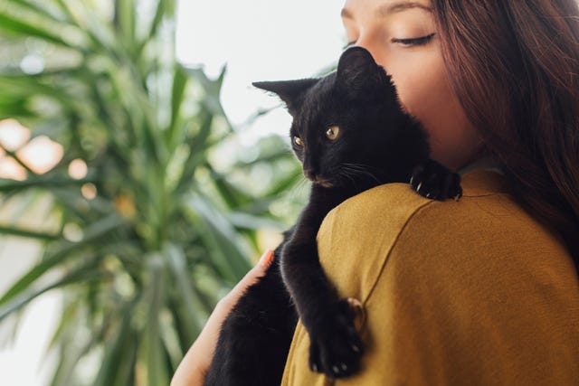 black cat breeds  woman holding black cat