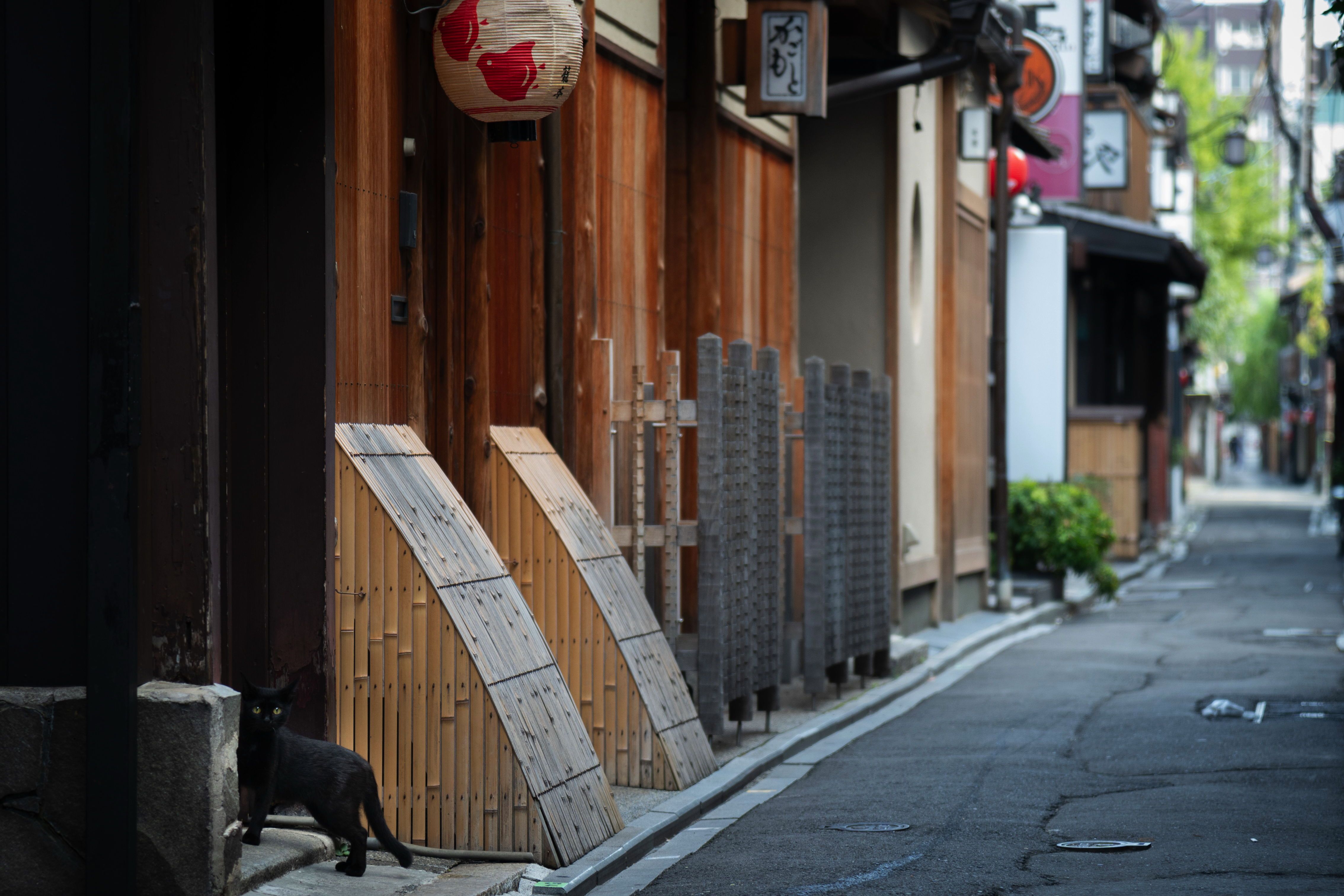 こころの風景コレクション【志賀納　宵の路地（京都・先斗町）】60％お値引き！！ こころの風景コレクション【志賀納 宵の路地（京都・先斗町