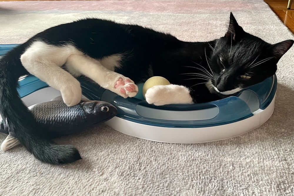 Ripple Rug Cat Activity Mat: Endless Fun for Your Feline!