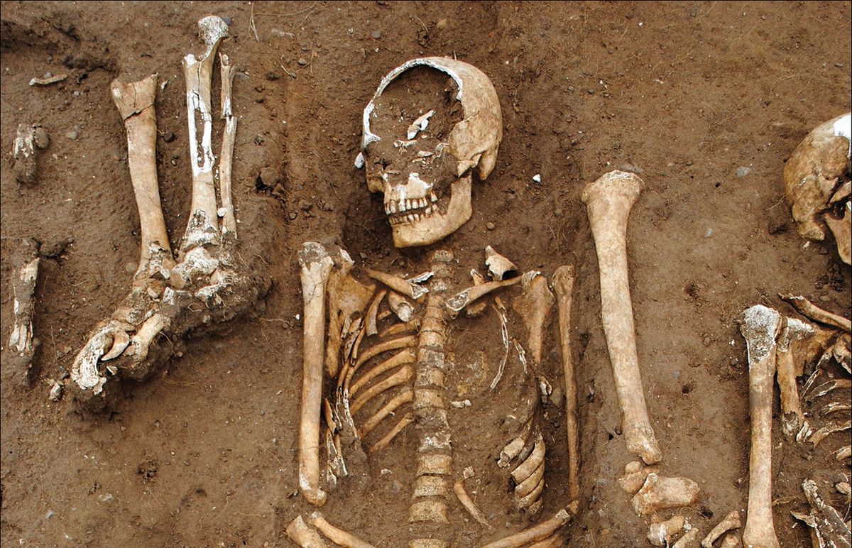 Bijna vijftig lichamen werden tijdens de grote pestepidemie van 13481349 in massagraven detailfoto op het terrein van Thornton Abbey in Engeland begraven