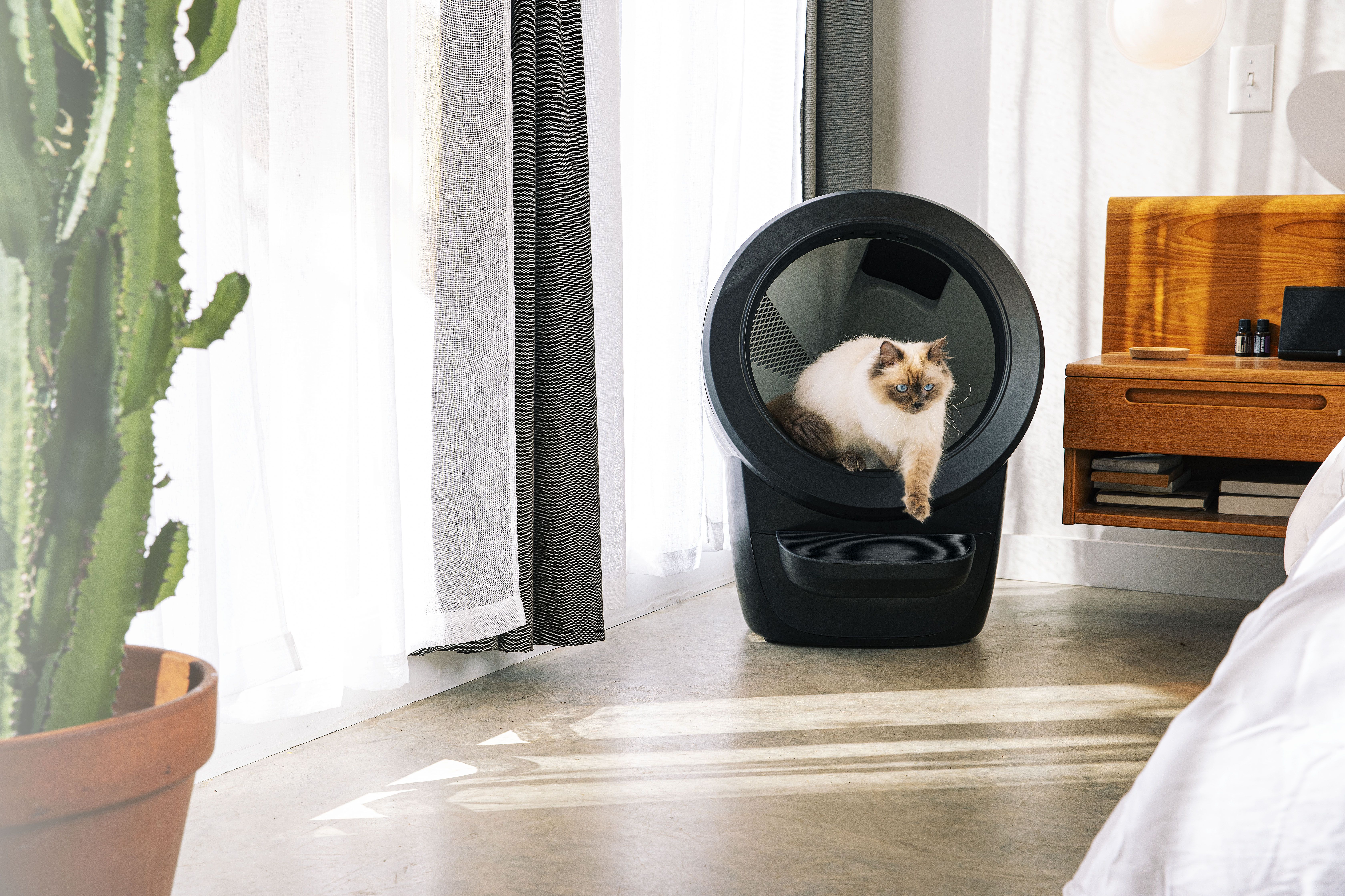 Best litter to clearance use with litter robot