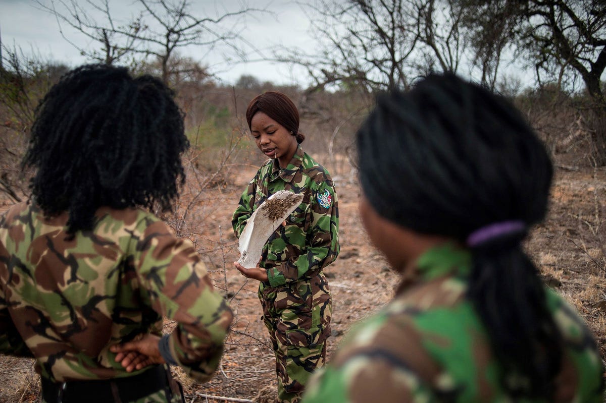Leden van de geheel uit vrouwen bestaande antistroperseenheid Black Mambas voeren een routinepatrouille uit in een wildreservaat in de ZuidAfrikaanse provincie Limpopo