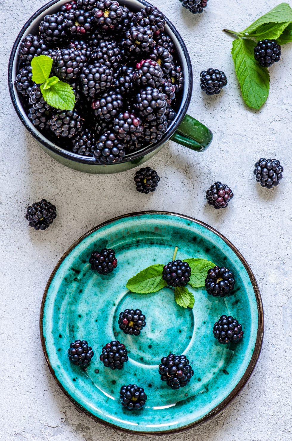how to forage blackberries