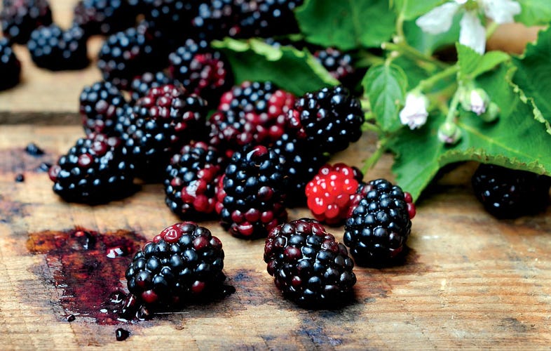 blackberries