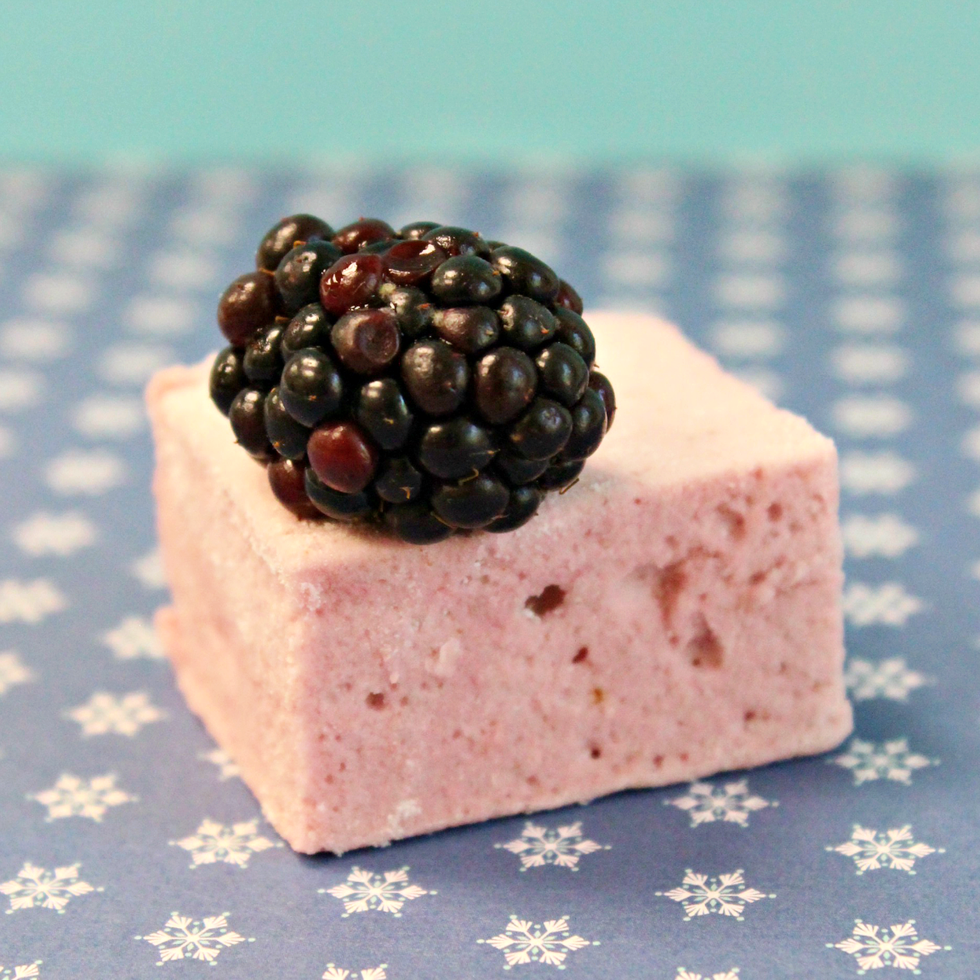 Food, Blackberry, Semifreddo, Cuisine, Dish, Berry, Frozen dessert, Dessert, Fruit, Taro cake, 