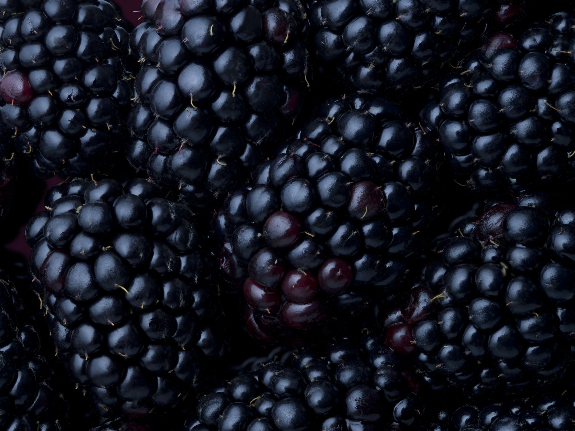 blackberries wallpaper