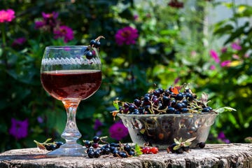 blackcurrant cordial