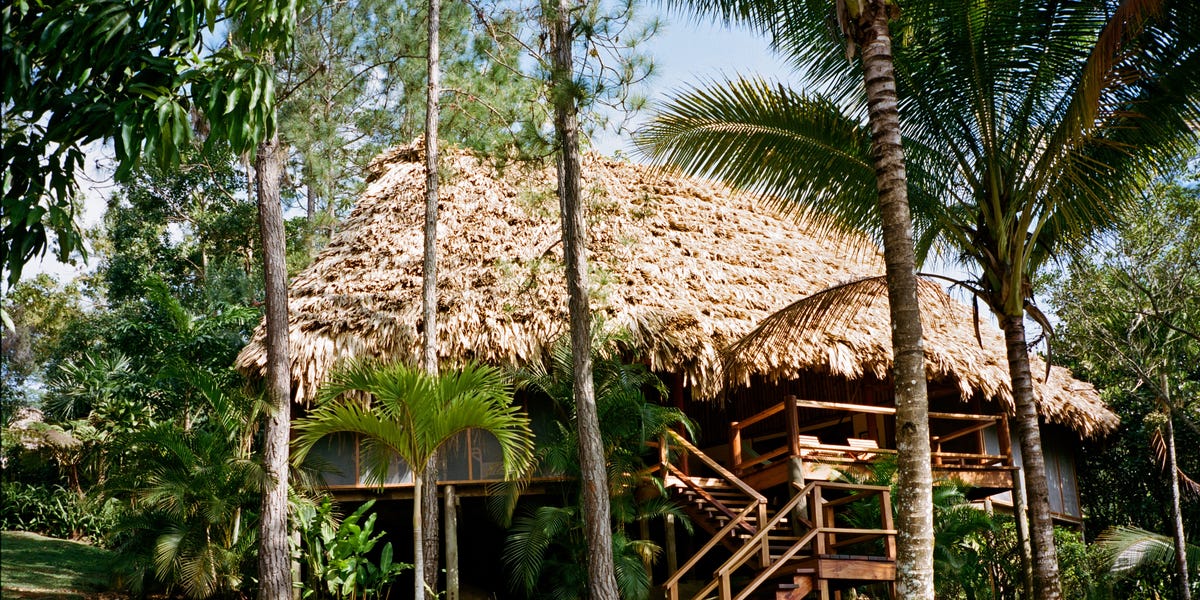 What a Trip to the Jungle Taught Me About Wellness
