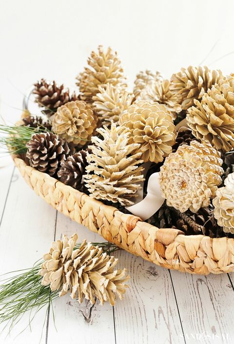 bleached pine cones pine cone crafts