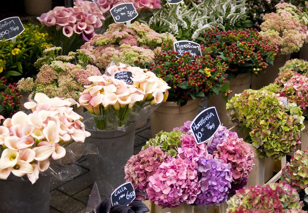 Bloemenmarkt Flower market