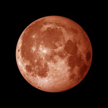 bloedmaan