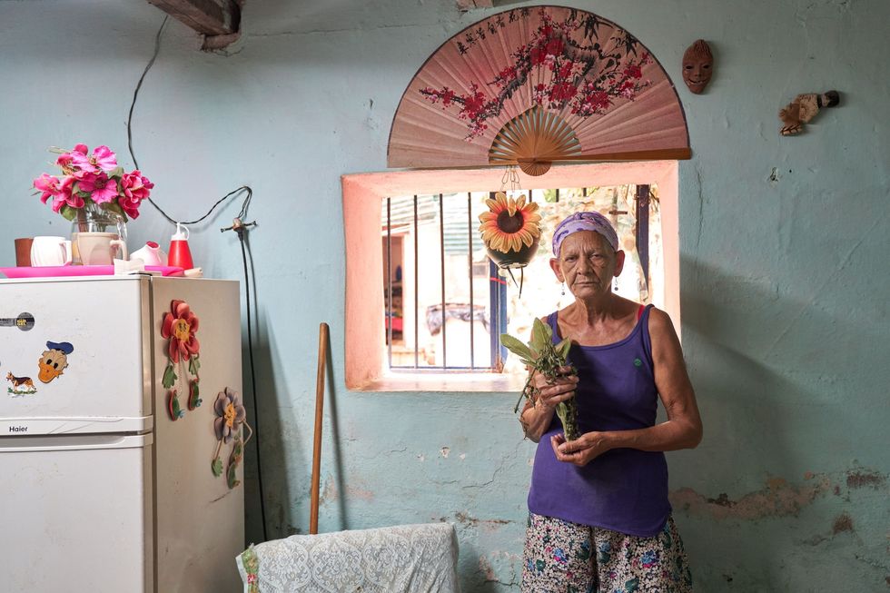 Norma Machado Gonzlez 69 poseert voor de foto in haar huis in het oude centrum van Havana Cuba Ze toont een paar oreganobladeren waarvan ze een thee zal trekken voor de behandeling van haar bronchitis
