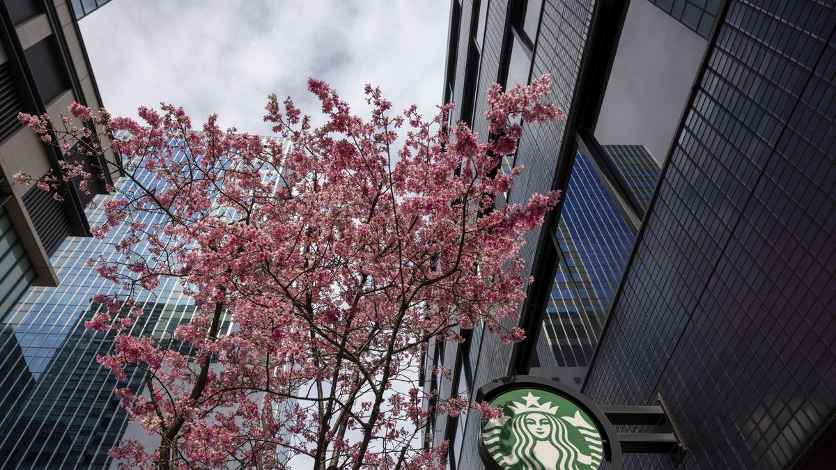 preview for 10 Starbucks Facts Coffee Lovers Should Know