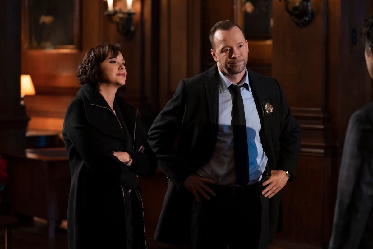 Why 'Blue Bloods' Fans Have So Many Questions About the Latest Season ...