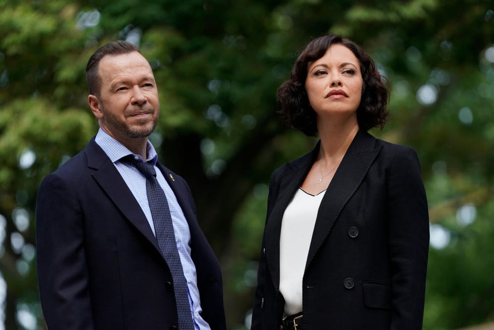 Blue Bloods Season 11 Cast - Meet New and Returning Characters