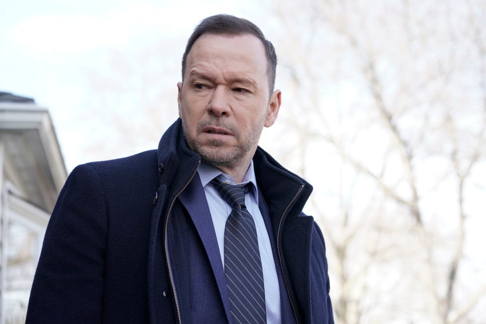 Blue Bloods Cast - Meet the Cast of Blue Bloods Season 10