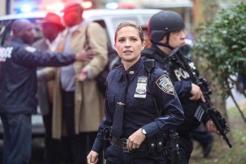 Blue Bloods Cast - Meet the Cast of Blue Bloods Season 10