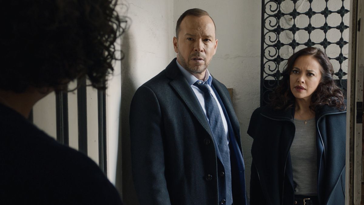 Why There's No New 'Blue Bloods' Episode on April 15? - When Will 'Blue ...