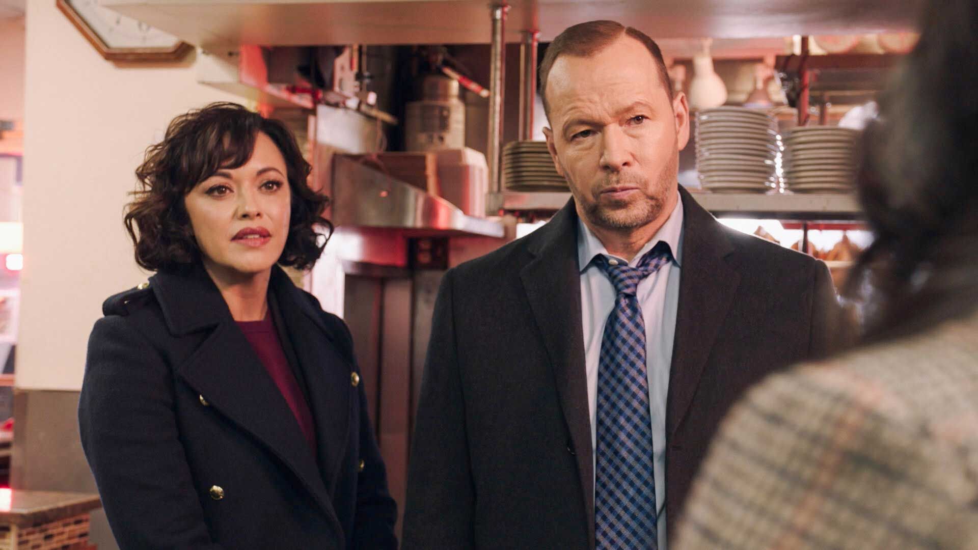 Blue Bloods Leaving Netflix in November 2019