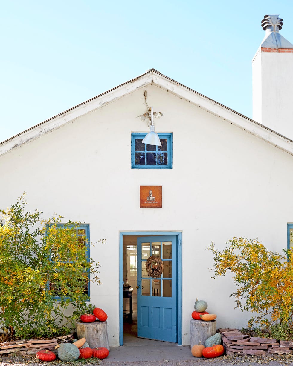 blue door with heirloom orange and blue pumpkins