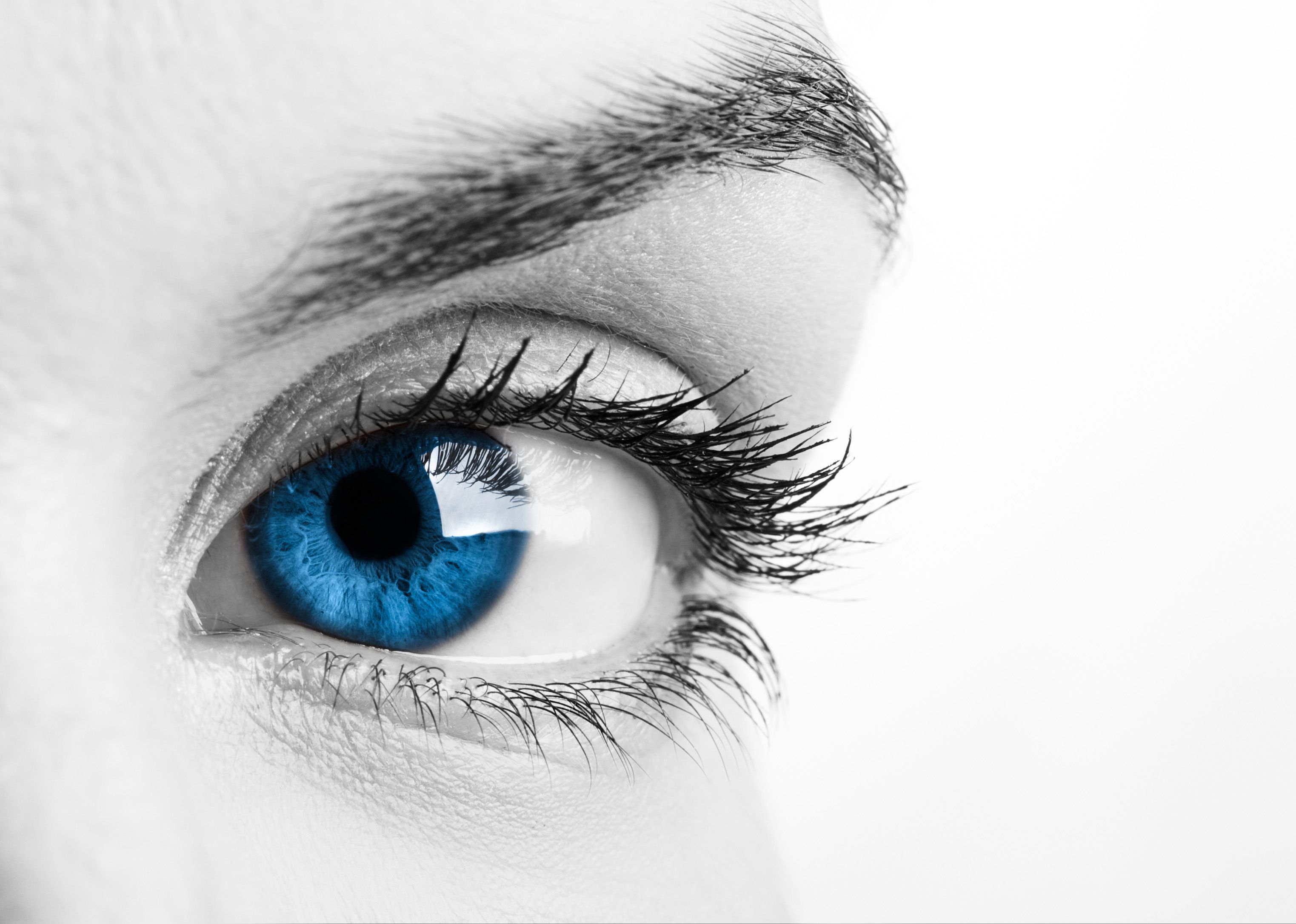 Blue eyed people related to single ancestor: Study Blue-eyed