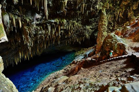 Wie de Gruta do Lago Azul bezoekt kan door het heldere water een glimp opvangen van prehistorische dierenbeenderen op de bodem van het Blauwe Meer