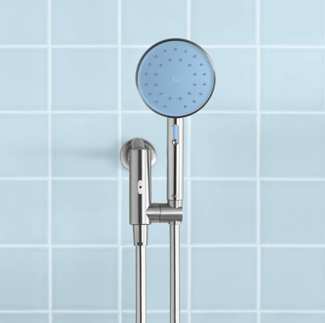 blue and silver showerhead
