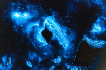 blue light bioluminescence in the sea at night