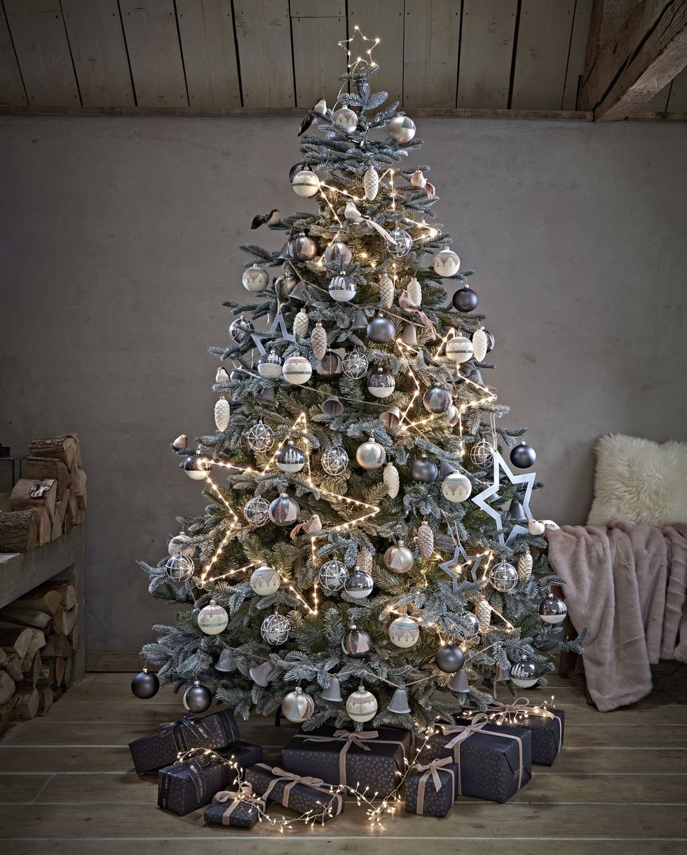 Blue Mountain Spruce Christmas Tree