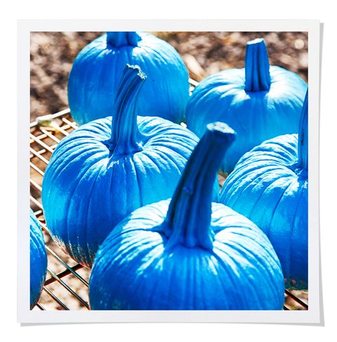 blue pumpkin for autism acceptance