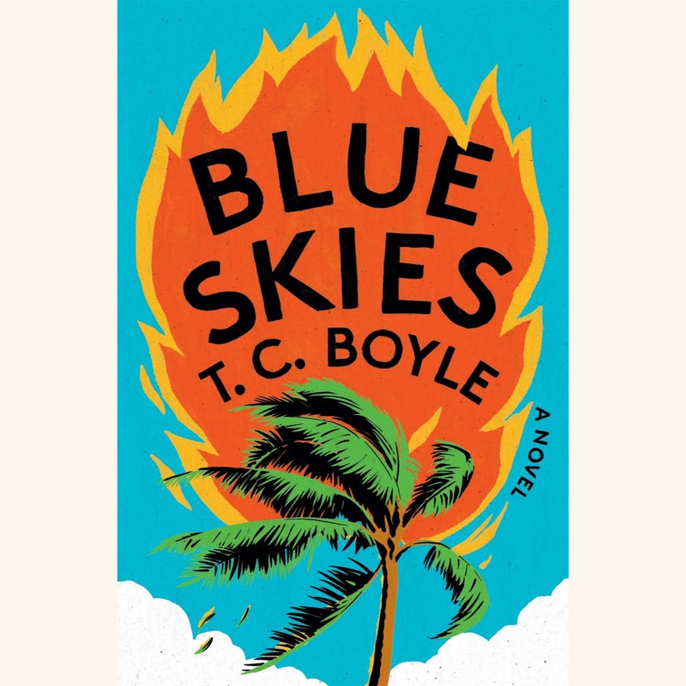 blue skies, tc boyle