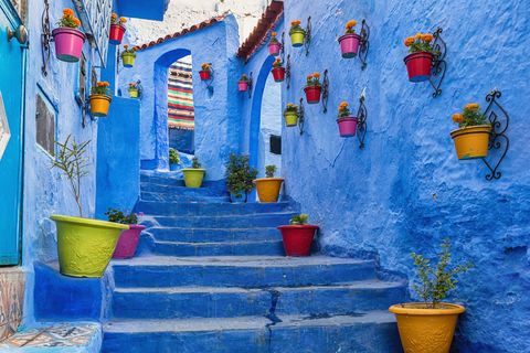 blue stairway with colourful flowerpots