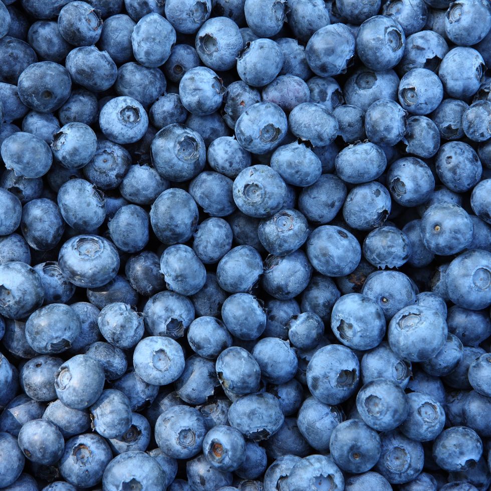 background of fresh blueberries