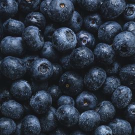 blueberries close up