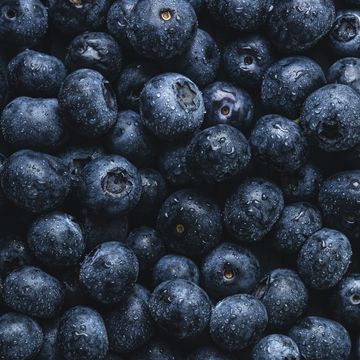 blueberries close up