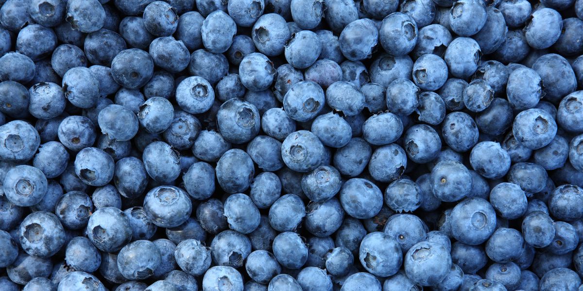 11 Foods That’ll Boost Your Bone Strength and Joint Health