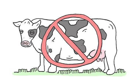 cow free